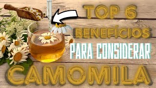 Conheça os Incríveis BENEFÍCIOS DO CHÁ DE CAMOMILA