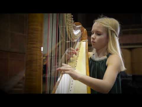 M.Mchedelov. Variations on Paganini's theme.