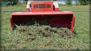 Cleaning Up A CRABGRASS Nightmare + Lawn Renovation Begins