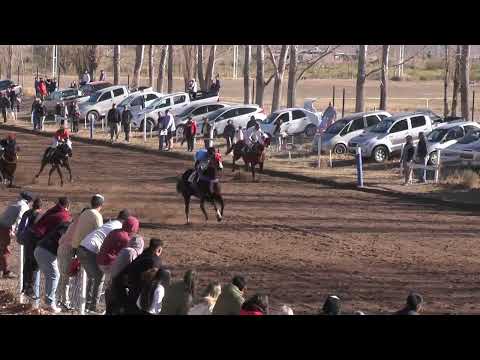 ALSUFF  Club Hípico Cipriano Catriel - Catriel - Rio Negro - 04-06-2023