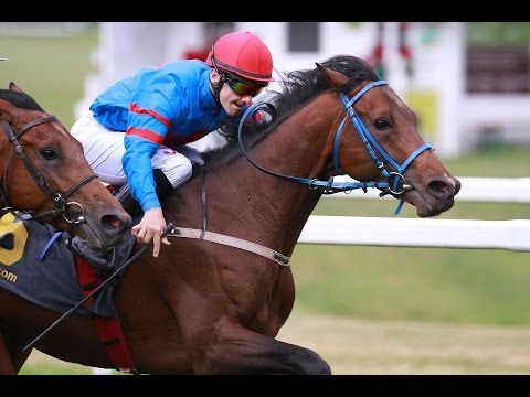 München: Prix de Deauville (D) - Sieger: Swordshire