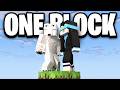 I Survived 100 Days On ONE BLOCK SKYBLOCK In Minecraft 1 21