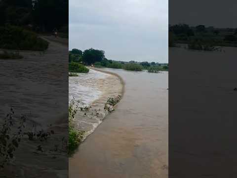 Muita água para Rio Salgado da Região de Barro Ceará hoje 25/02/2026