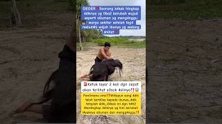 Download lagu 🔴ASTAGHFIRULLAH! Istighfar istighfar‼️ mp3 Download lagu 🔴ASTAGHFIRULLAH! Istighfar istighfar‼️ mp3