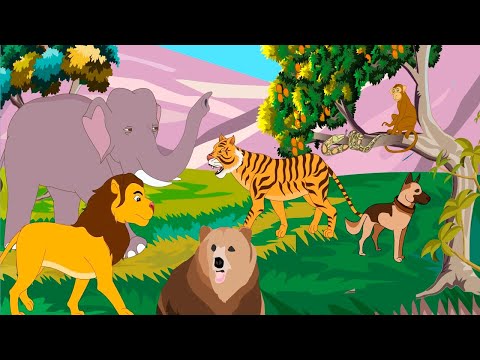 Animals Around Us - EVS | Animated chapter | Animation