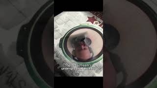 Bring Rawkus Back #shorts #hiphop #rawkus #koolgrap #mosdef #talibkweli #bigl #pharoahemonch #jayz