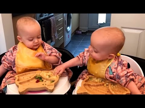 Funniest Battles of Twin Babies! Funny Babies Compilation