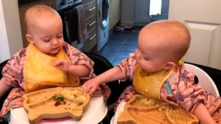 Funniest Battles of Twin Babies! Funny Babies Comp