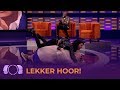 ROY DONDERS kruipt op BOBBI EDEN?!! | De Gordon tegen Dino Show