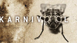 Karnivool - Scarabs (HD)