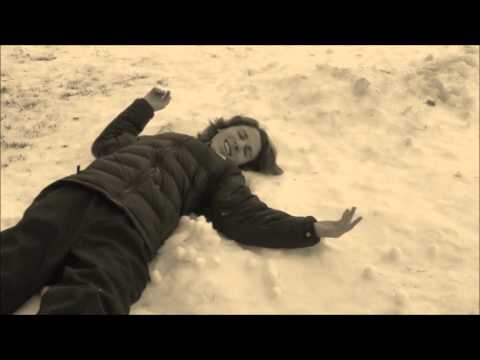 alfred wegener video