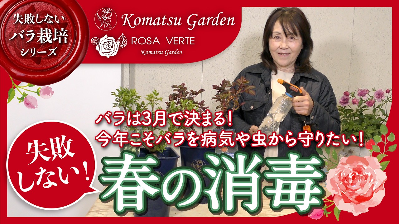 春のバラの消毒【失敗しないバラ栽培シリーズ】vol.5