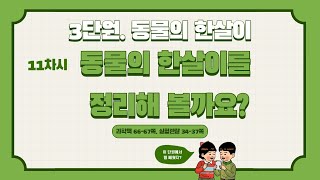 [미니쌤] 3학년 과학 3단원 11차시. 동물의 한살이를 정리해 볼까요?