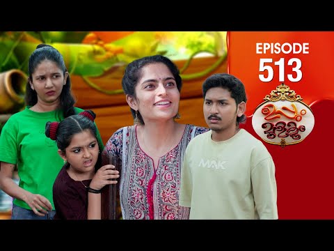 Uppum Mulakum 3 | Flowers | EP #513