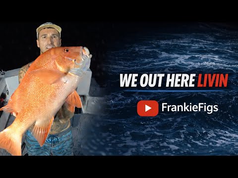 RED EMPEROR - NANNYGAI - solo mission with a hot bite