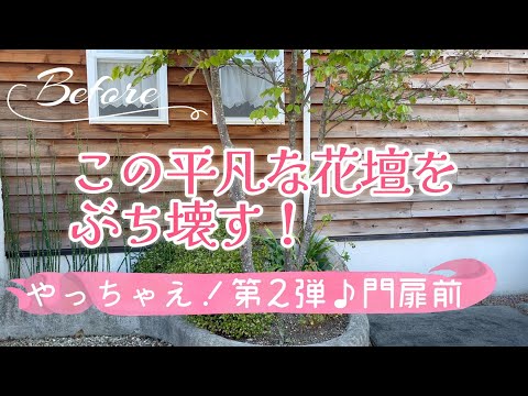 乾燥した日陰に適した多年草はどれですか？やせた土地でもよく育つ10品種  庭園
