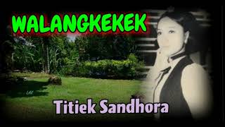 Download lagu WALANGKEKEK - Titiek Sandhora mp3 Download lagu WALANGKEKEK - Titiek Sandhora mp3