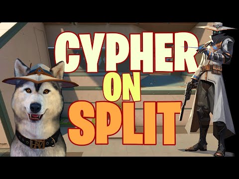Cypher on Split Guide
