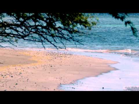 Maui Beach Guide: Olowalu Beach & Mile Marker 14 - Maui HI