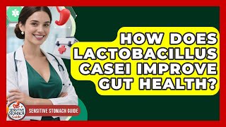 How Does Lactobacillus Casei Improve Gut Health - Sensitive Stomach Guide