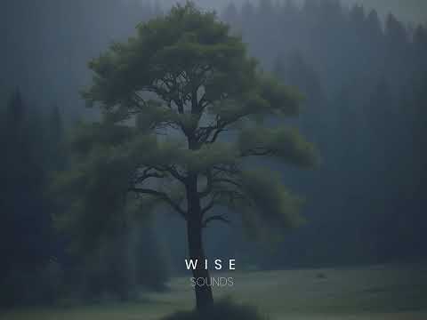Wise - Sounds