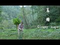 Longmeimei Made Ginger Sugar