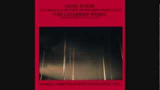 DAVID BYRNE - My Big Hands+Combat (The Catherine Wheel).wmv