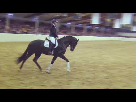 NAVARRO & Hermann Burger