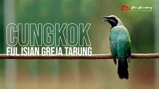 Download lagu CUNGKOK FULL ISIAN GREJA TARUNG mp3