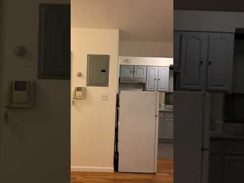 video 1