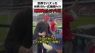 ノルウェーのW杯神連携チャント