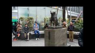 preview picture of video '東京：渋谷　Tokyo trip   -Shibuya- HD (Sony NEX C3D)'