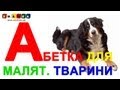 Абетка для дітей "Тварини" - Вчимо український алфавіт 