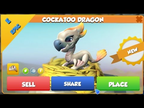 Cockatoo Dragon Hatching + Event Level 5! - Dragon Mania Legends #313