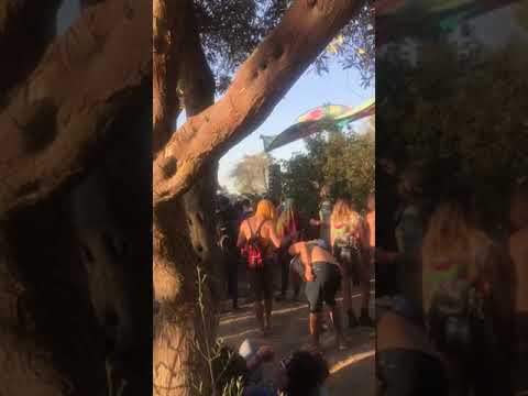 Nico Stojan Lightning in a bottle 2019 - Woogie Stage