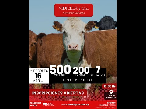 16/04/2025 Feria Mensual - Vidiella Y Cia / Local 33 en la calera - Treinta y Tres