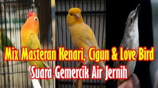 Download lagu Mix Masteran Kenari, Cigun & Love Bird Suara Gemercik Air mp3 Download lagu Mix Masteran Kenari, Cigun & Love Bird Suara Gemercik Air mp3
