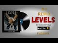 Levels (Desi Mix) | Nick Dhillon | Sidhu Moosewala | Punjabi Songs 2022