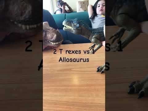 2 T rexes vs Allosaurus