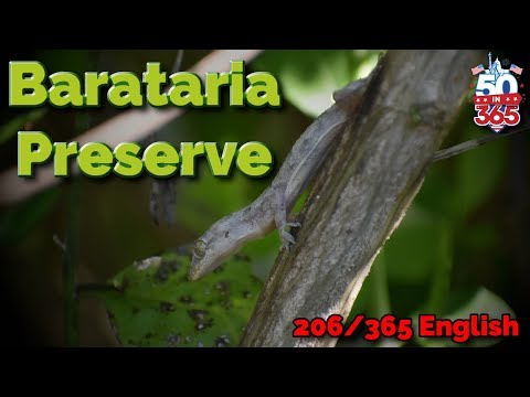 Jean Lafitte NHP - Day 206 of 365 - Full Time RVing w/4 Kids