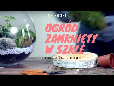 Las zamknięty w szkle, czyli jak zrobić oryginalną dekorację z roślin? #DIY #DEKORACJE