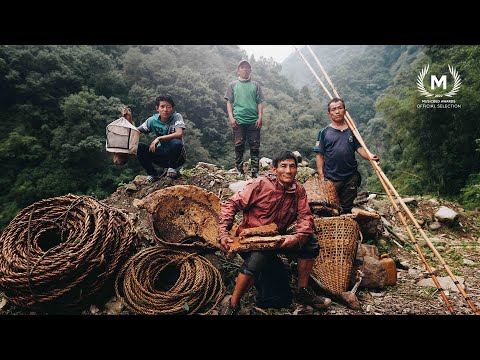 'Mad' Honey Hunters in Nepal