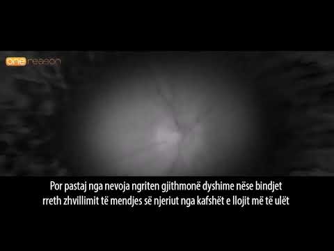 Pse mendja e njeriut e refuzon teorin e Darwinit?