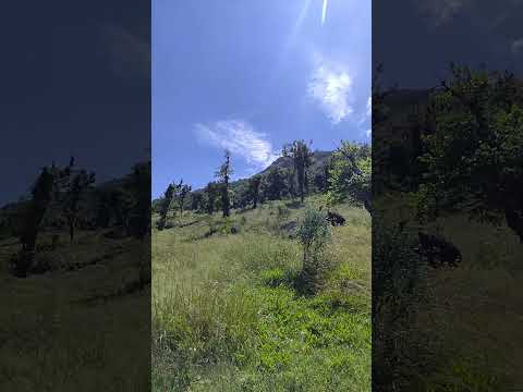 Chegando novidades!! 52 alqueires em Campina Grande do Sul Paraná,breve mais informações