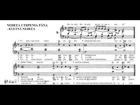 Žalm 22 - Kvetná nedeľa - "Bože môj, Bože môj, prečo si ma opustil"