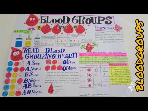 Blood group chart |Student life Medical student#Sa_calligraphy7 #project #medicalstudent #bloodgroup