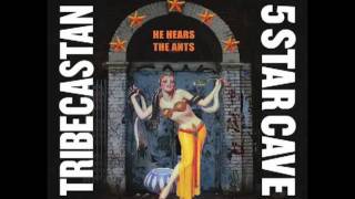 He Hears The Ants :: TriBeCaStan :: 5 Star Cave
