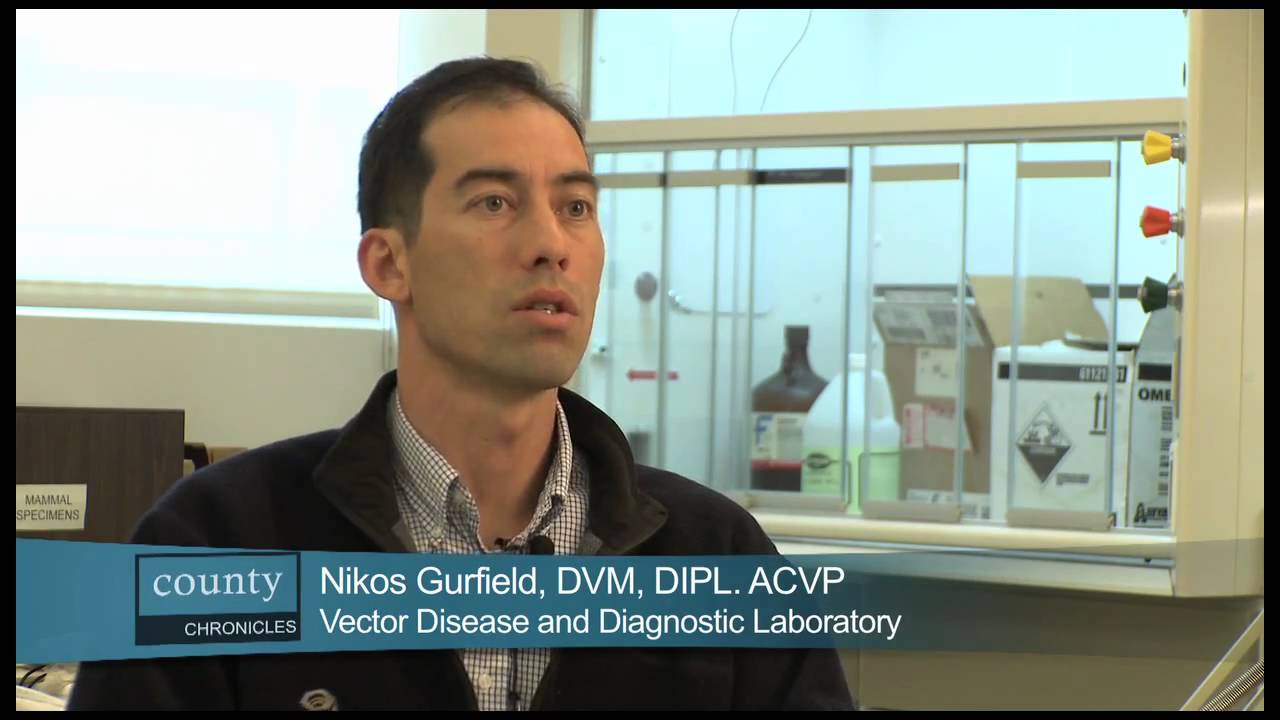 Vector Disease and Diagnostic Laboratory