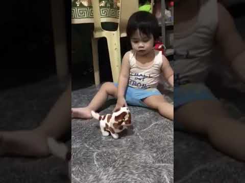 Klaypot takot sa Doggy