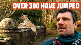 Why do Dogs Jump to their Death from this Bridge? 🏴󠁧󠁢󠁳󠁣󠁴󠁿 | Ep 79